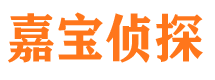 河西侦探公司